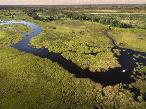 Sitatunga Private Island Okavango Delta