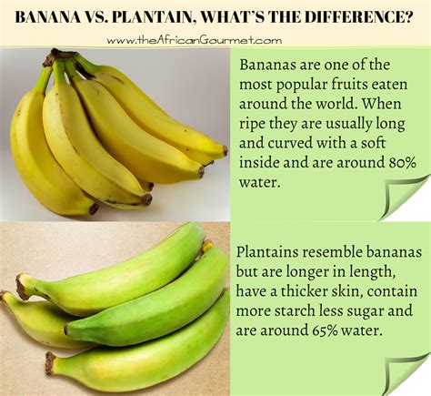 Banana Vs Plantain Whats The Difference Chic African Culture
