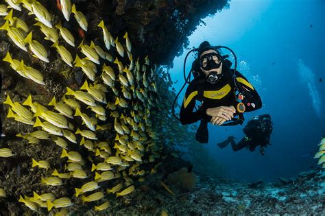 Two People Scuba Diving Underwater Hd Wallpaper Peakpx