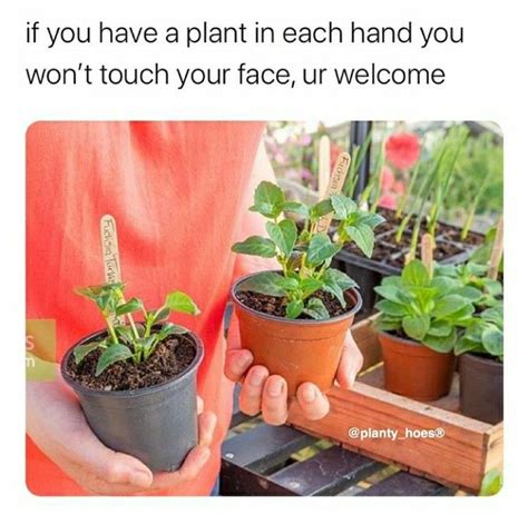 60 Plant Memes For You To Dig Through Gardening Memes Plants Plant