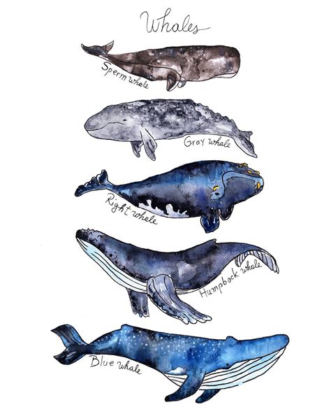 Watercolor Whales Print Kids Room Decor Nautical Ocean Print Etsy