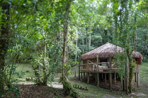 Paraiso Eco Lodge ในเซาเปาลู ราคาและดีลใหม่ในปี 2024 Klook ไทย