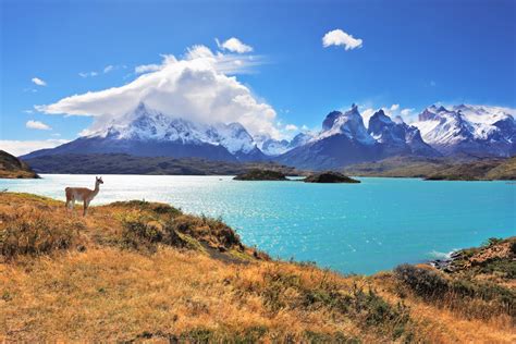 Tudo O Que Você Deve Considerar Para Visitar A Patagônia Argentina