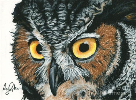 Great Horned Owl Painting By Troy Argenbright