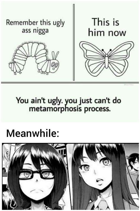Metamorphosis Anime Memes Funny Funny Anime Pics Anime Memes