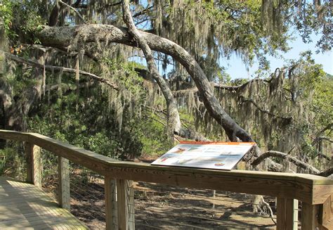 Check spelling or type a new query. The Marsh Boardwalk at the Coastal Discovery Museum at ...