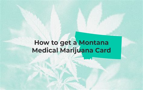 These individuals can also grow plants to the same limits as their mmj counterparts. How to Get a Medical Marijuana Card in Montana in 2020 ...