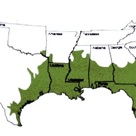 Range Of American Crocodiles And Caimans In Florida Download