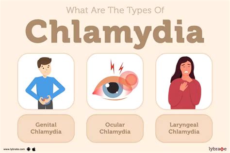 Chlamydia Causes Symptoms Treatments And More