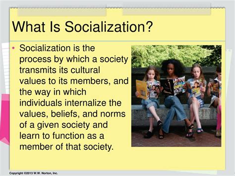 Ppt What Is Socialization Powerpoint Presentation Free Download