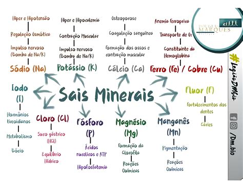 Mapa Mental Sobre Sais Minerais Maps4study
