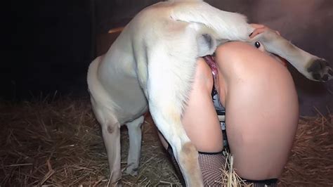 Pussy Of Xxx Whore Will Be Creampied After White Dog Drills It Xxx