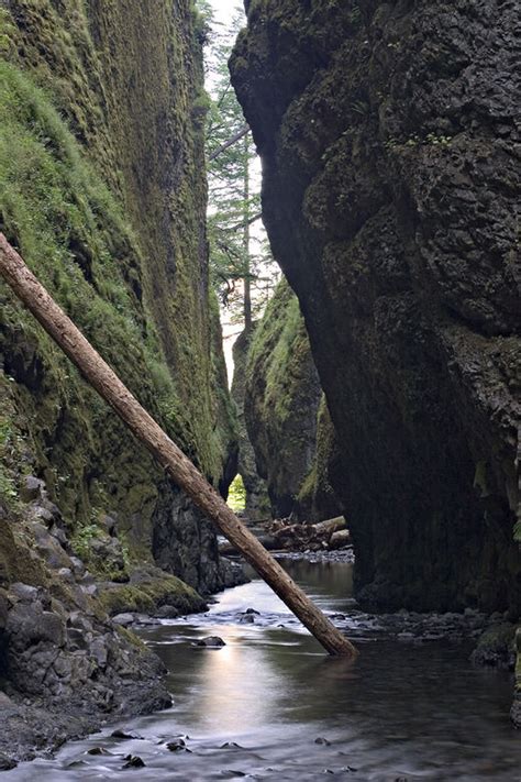 Oneonta Gorge Hiking In Portland Oregon And Washington