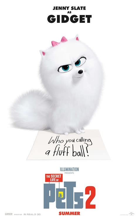 Watch the secret life of pets 2 (2019) from player 2 below. The Secret Life of Pets 2 | Universal Pictures