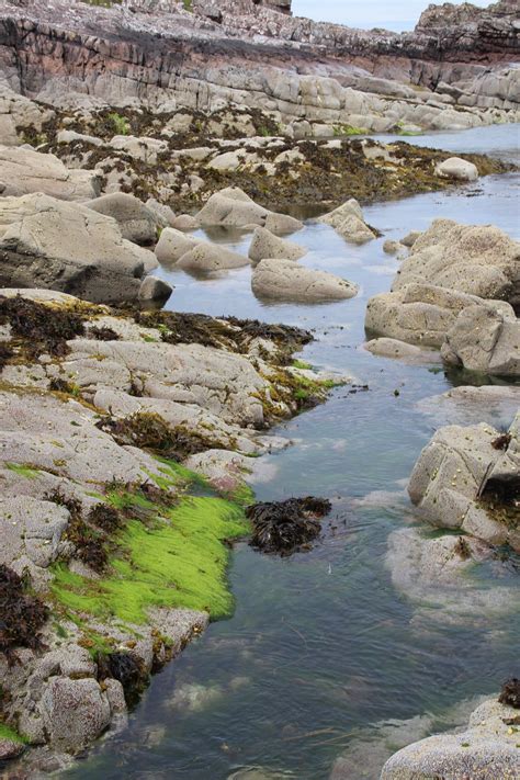 Free Stock Photo Of Algae Green Rocks