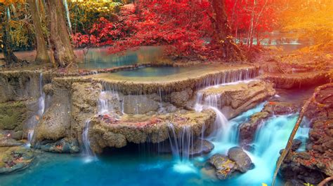 Yellow Red Autumn Trees On Stream Waterfall 4k Hd Nature Wallpaper Hd