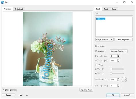 Top 5 Software To Batch Watermark Photos For Windows And Mac Minitool