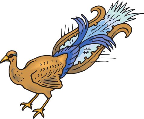 Peafowl Clipart - Full Size Clipart (#5293414) - PinClipart