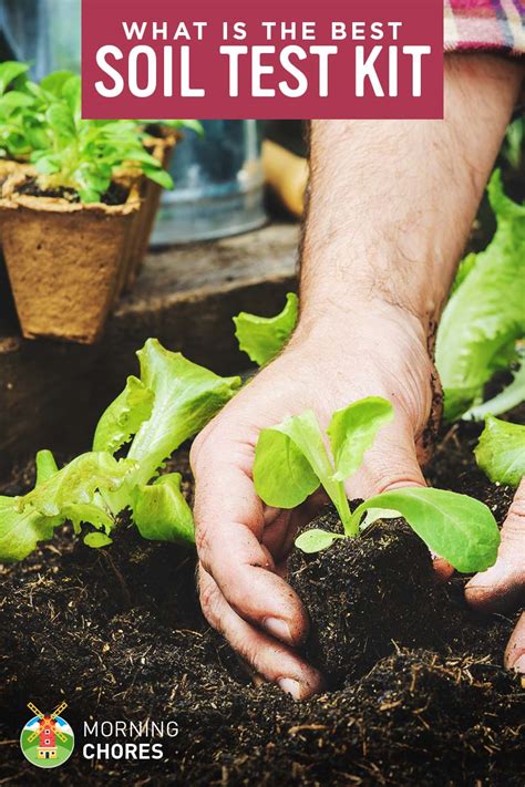 Only the best soils for cacti provide the right moisture retention while preventing excessive water. 5 Best Soil Test Kits for Your Garden or Lawn - Reviews ...