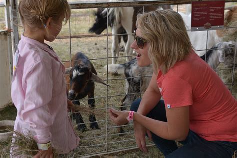 Plus we offer pony rental, petting zoo rental, chairs, tables, and concessions including: Petting Zoo & Pony Rides | Hanover Ag Society