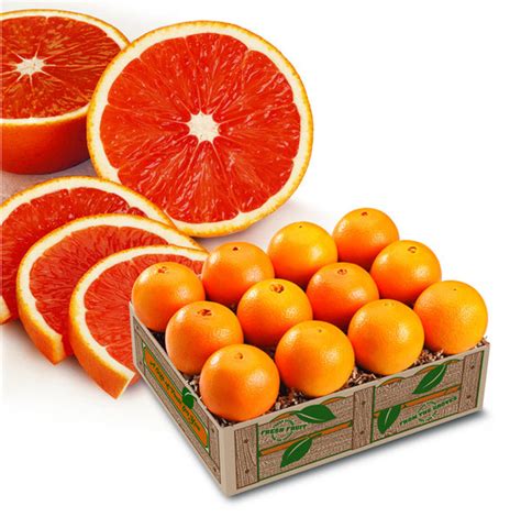 Scarlet Navel Oranges Florida Citrus Fruit Hyatt Fruit Company