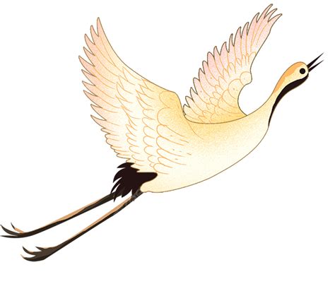 Crane Birds Flying Crane Birds Animal Png Transparent Clipart Image