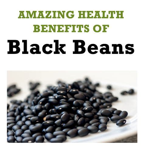 Amazing Health Benefits Of Black Beans You Must Know มีรูปภาพ