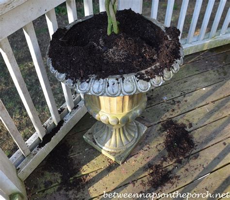 This is a great technique for protecting flower bulbs.not as practical for a yard. How To Keep Squirrels Away From FLowers