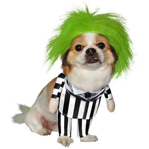 Petsmarts Latest Pet Halloween Costume Collection Is Out And Its Adorable