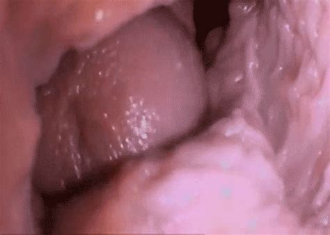 Penis Orgasm Inside Vagina GIF