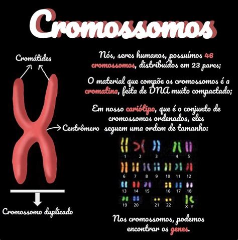 Resumo Sobre Cromossomos Ensino De Ci Ncias Gen Tica Resumo