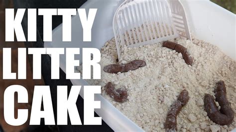 And whether you're after lightweight cat litter or clumping cat litter, we've got a wide variety for you to choose from here. Kitty Litter CAKE | Dollar $tore Recipe - YouTube