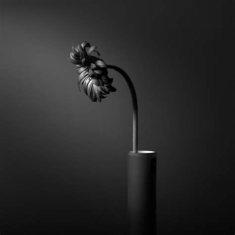 Black And White Still Life Photography Bwvision Black And White