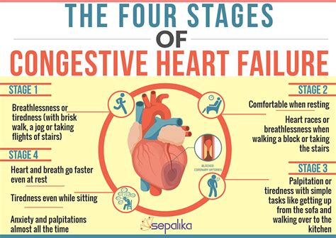 Congestive Heart Failure Stages