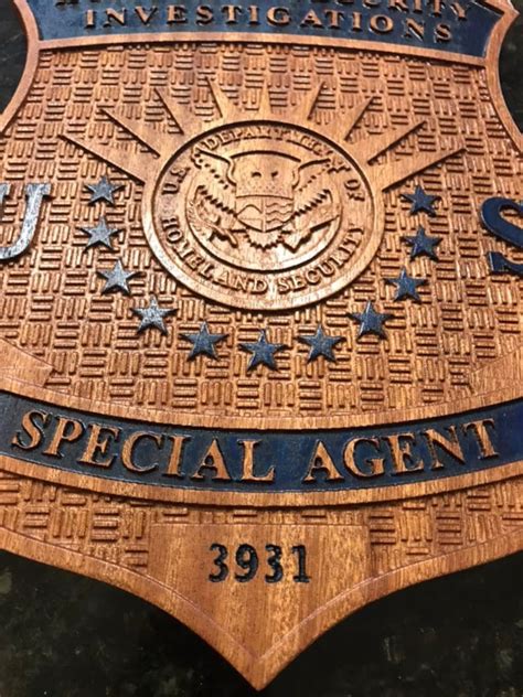 Homeland Security Investigations Hsi Badge Etsy