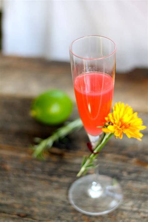 We created social lite because we wanted a choice that fit our healthy and active lifestyle. Vodka Blush Cocktail | Recipe (With images) | Healthy ...