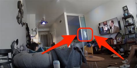 Most Amazing Moments Caught On Nest Cam Business Insider