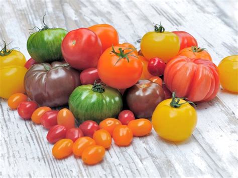Different Types Of Tomato Varieties For Growing