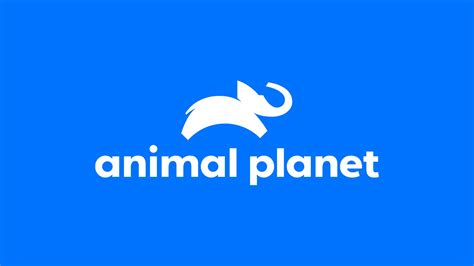 Animal Planet Animal Planet