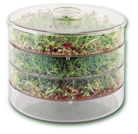 Seed Sprouters Are Devices Used To Help You Grow Your Own Sprouts