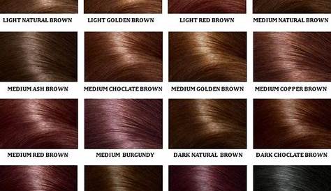 Brown Hair Color Chart - The Beauty Thesis | Brown hair color chart