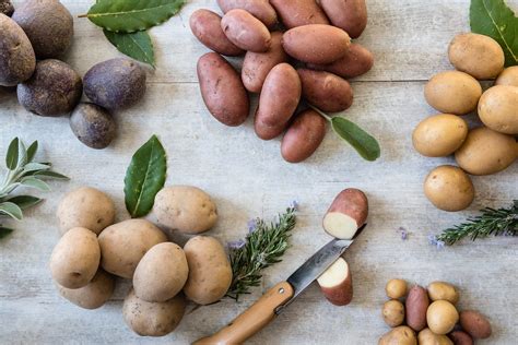 A Complete Guide To 12 Types Of Potatoes 2022 Masterclass