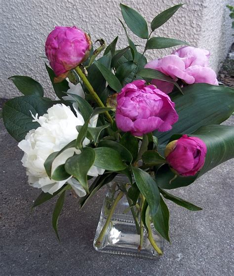 6 Peonies In Vase Lilies Of The Alley