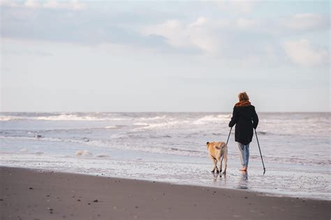 Vakantiehuis Aan Zee Met Hond Met Ruime Tuin Bungalowpark Campanula