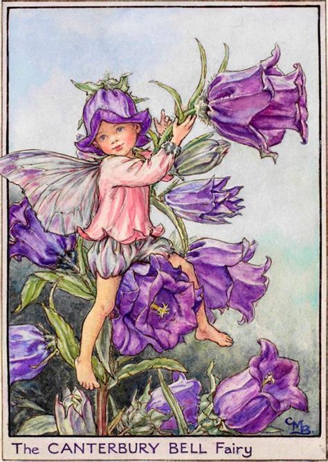 The Canterbury Bell Fairy Flower Fairies