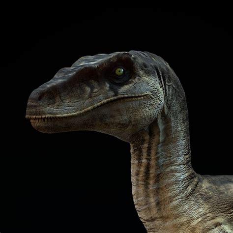 Jurassic Park 3 Velociraptor Fan Art Fernando Usabiaga Bustos On
