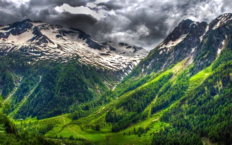 Green Pine Forest Snowy Peaks Sky With Dark Clouds Mountain Valais