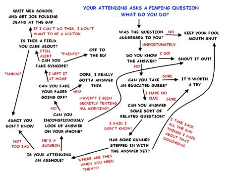 A Cartoon Guide To Becoming A Doctor What To Do When You
