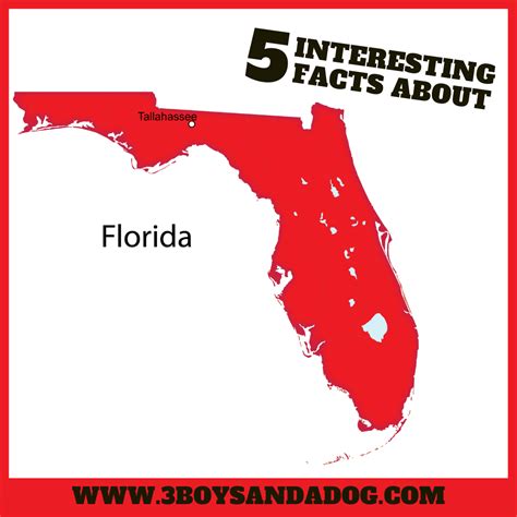 Interesting Facts About Florida Story 3 Boys And A Dog