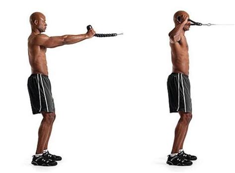 Face Pulls Exercise The Best Way To Get A Perfect Shoulder